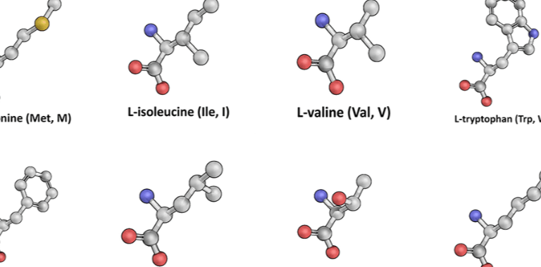 Advanced Amino Formula Ingredients
